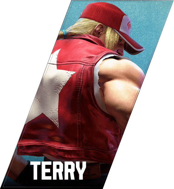 terry